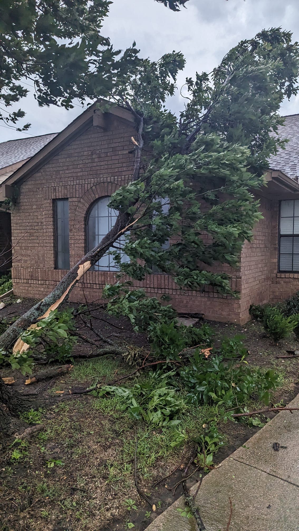 <b>Es crucial estar preparados para cualquier situación</b>. Esto implica contar con múltiples fuentes de información, desarrollar un plan familiar detallado y tener a mano un kit de emergencia completo.