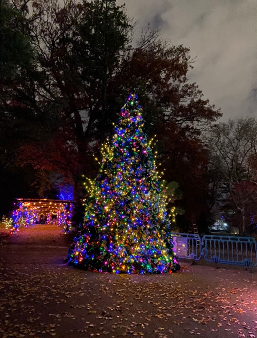 Los boletos cuestan $ 20 para niños de 2 a 11 y $ 25 para todos los de 12 años en adelante.