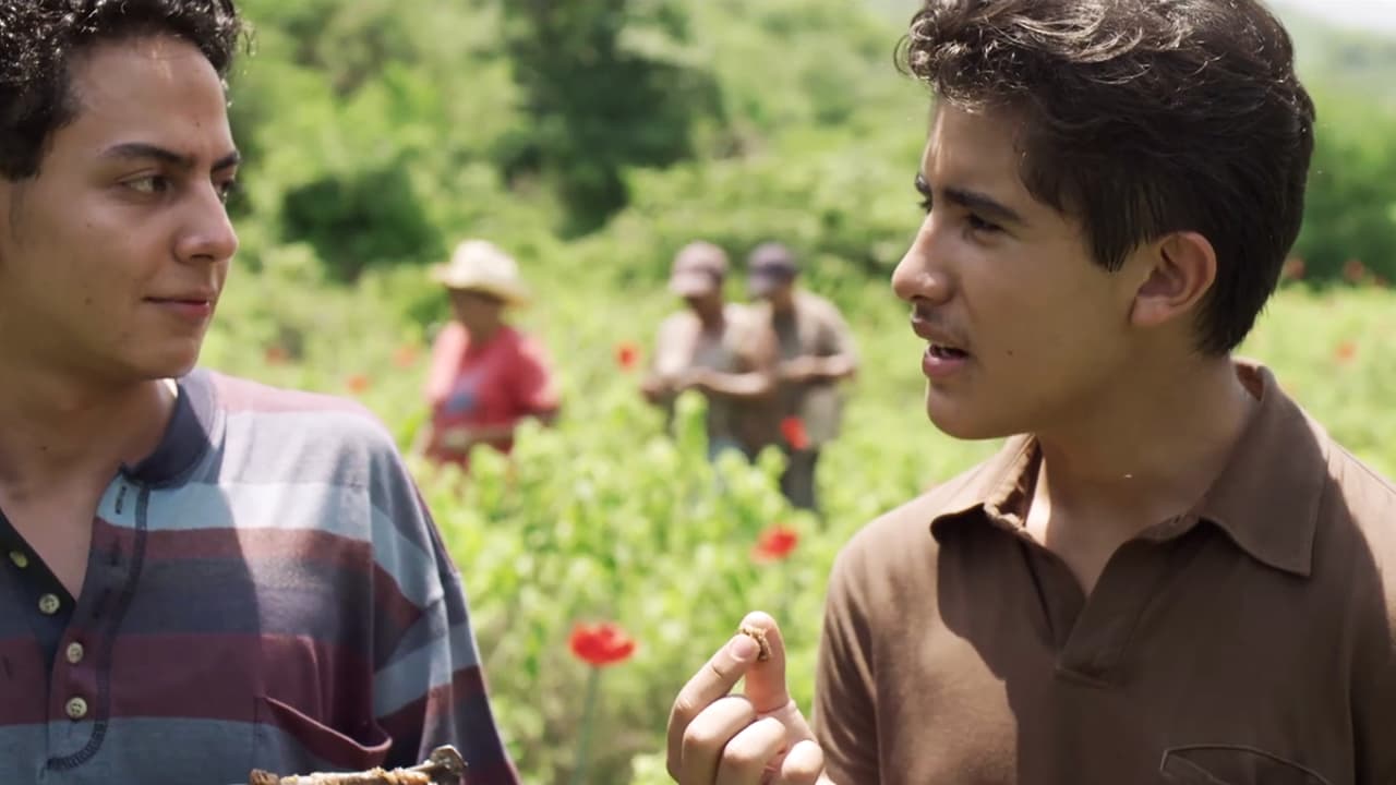 In the poppy fields, 
<b><a href="http://www.univision.com/series/el-chapo/hector-munoz-is-el-moreno-in-el-chapo">‘El Moreno’</a></b>, ‘El Chapo’s other son, carefully examined the first harvest of his property. He couldn’t wait for his next drug shipment.