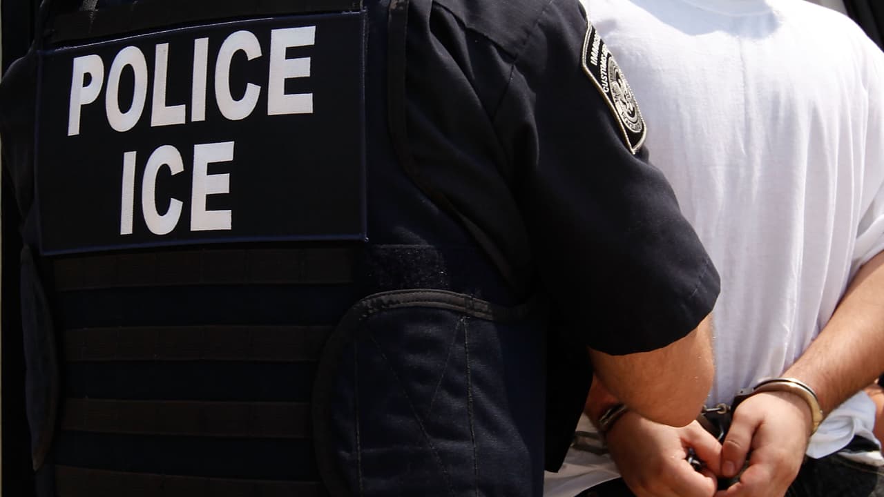 ¿Tienes cita en corte de inmigración? Cómo prepararte ante la posible presencia de agentes federales