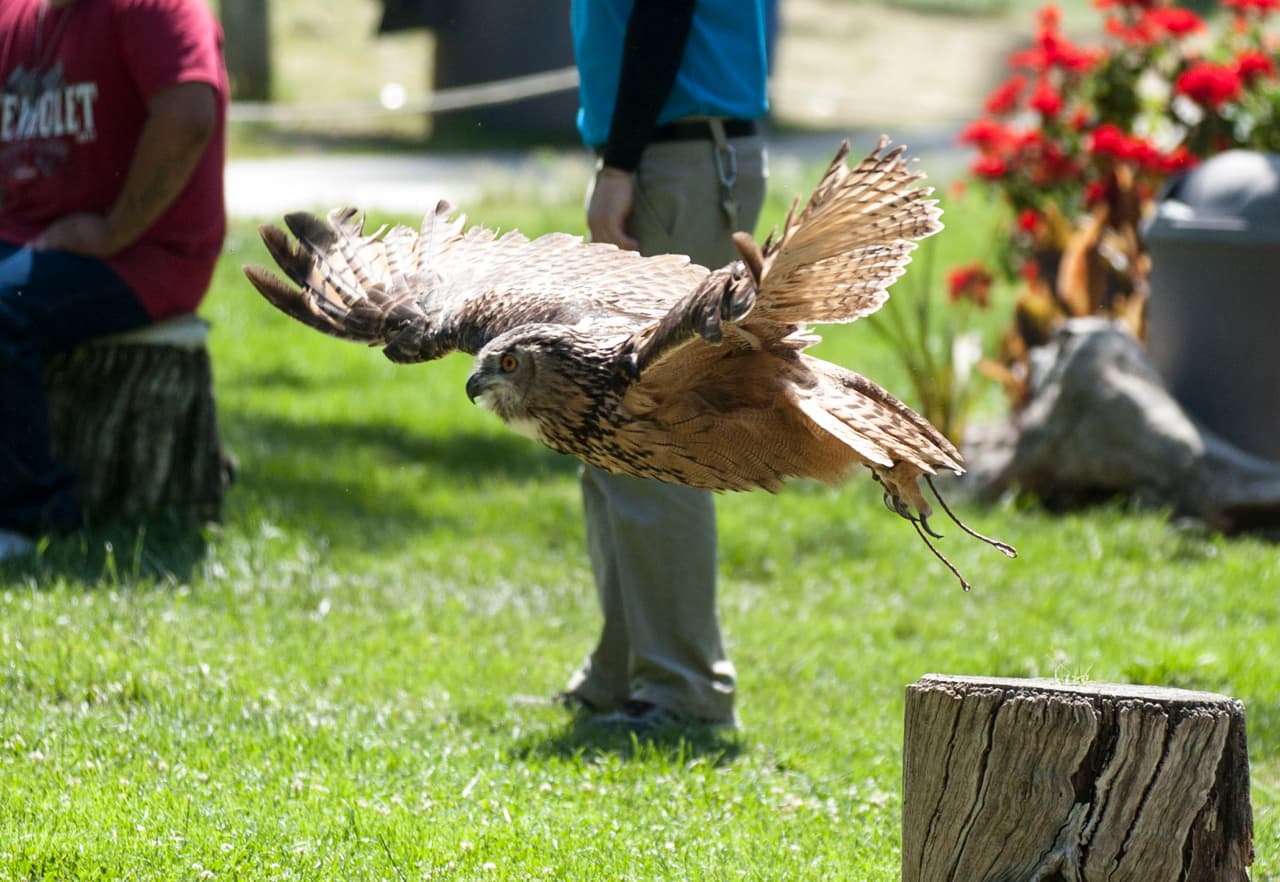 Un bello dia fue perfecto para las familias desde Bakersfield a Modesto.