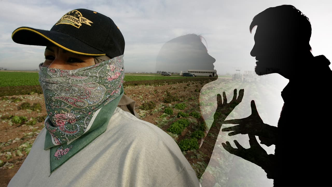 Violencia de género en el campo: el silencio que asfixia a las campesinas del Área de la Bahía