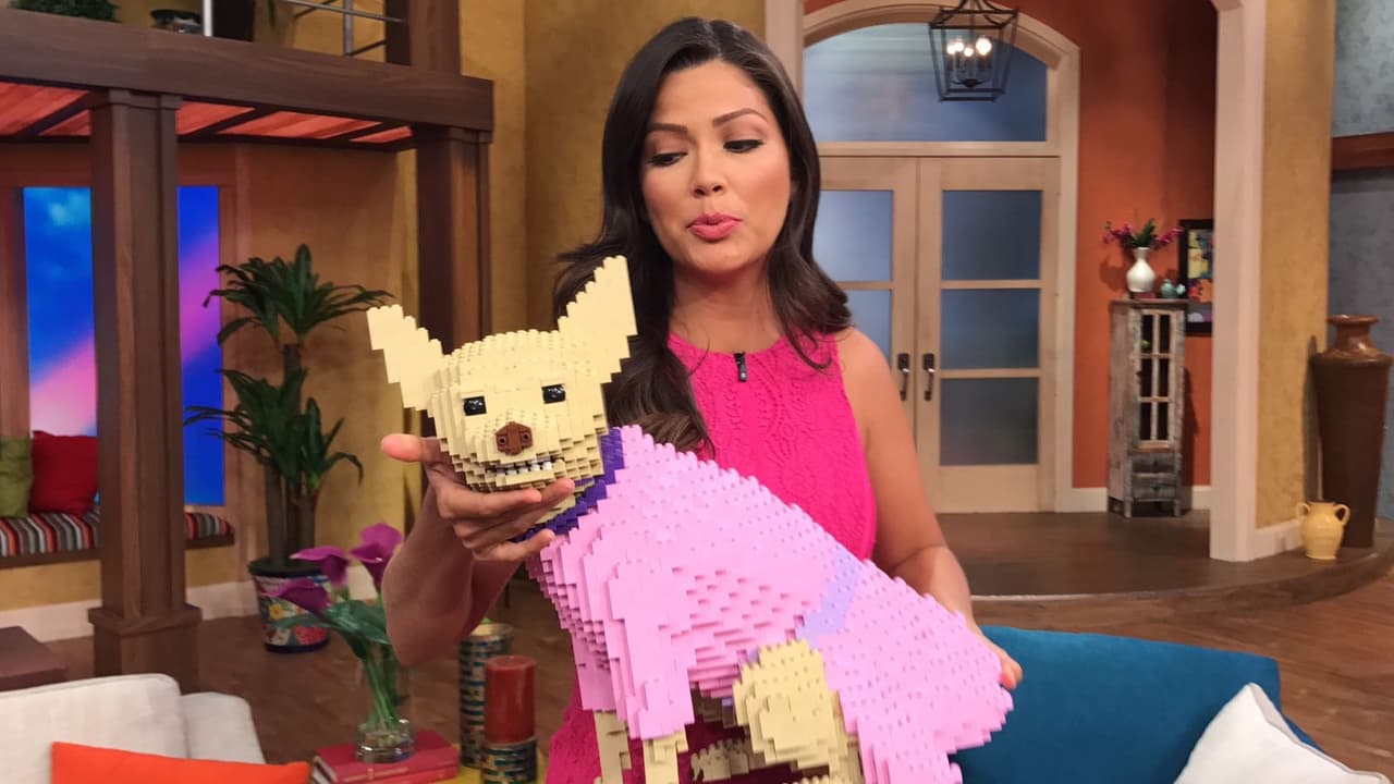 Ana no pudo llevar a Honey, porque está recién operada, así que tuvo que consolarse con su réplica.