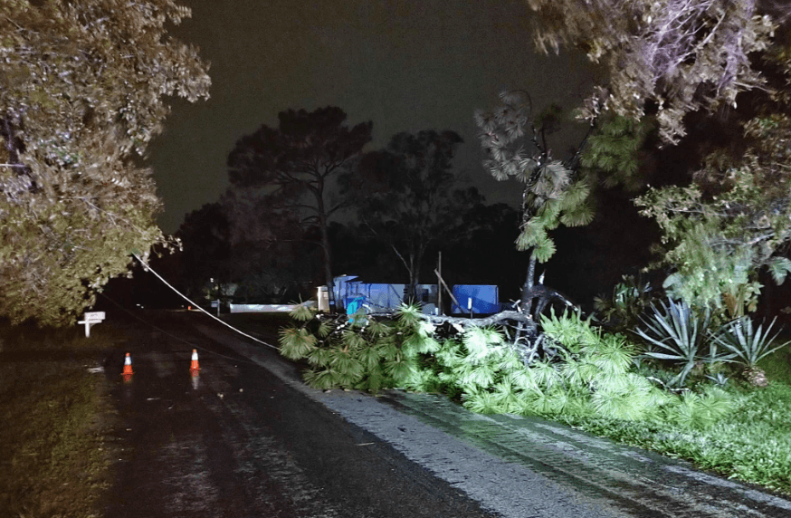 <b>Hay cables eléctricos caídos</b> en la misma área de Timberwood Drive y Whippoorwill Drive, advirtió el Alguacil del condado Hillsborough.
