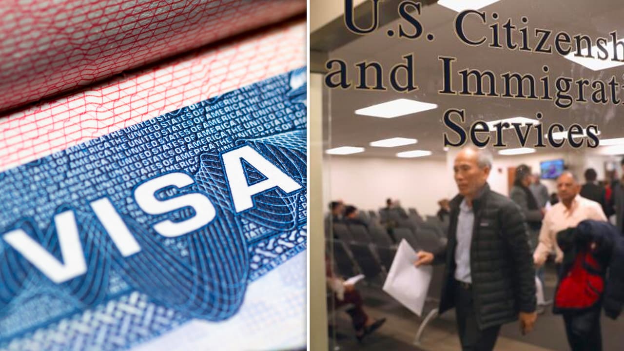 ¿Qué es la visa U? Un estatus legal para víctimas de crímenes, incluyendo indocumentados en Estados Unidos