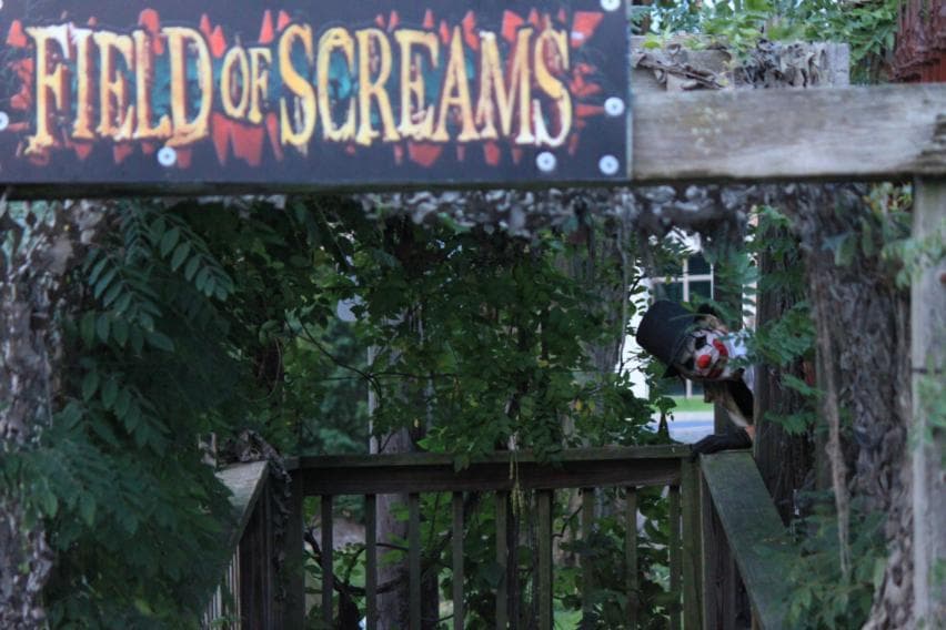 <b>Desafía el field of screams:</b> Si buscas cosas aterradoras para hacer en Pensilvania en octubre, no te pierdas Field of Screams en el condado de Lancaster. Votada como la atracción embrujada número uno en los Estados Unidos, esta institución del condado de Lancaster regresa nuevamente por su 29° año.
<br>
