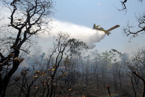 Las llamas se propagaron rápidamente a causa de los fuertes vientos y de la baja humedad del aire, según el gobierno.