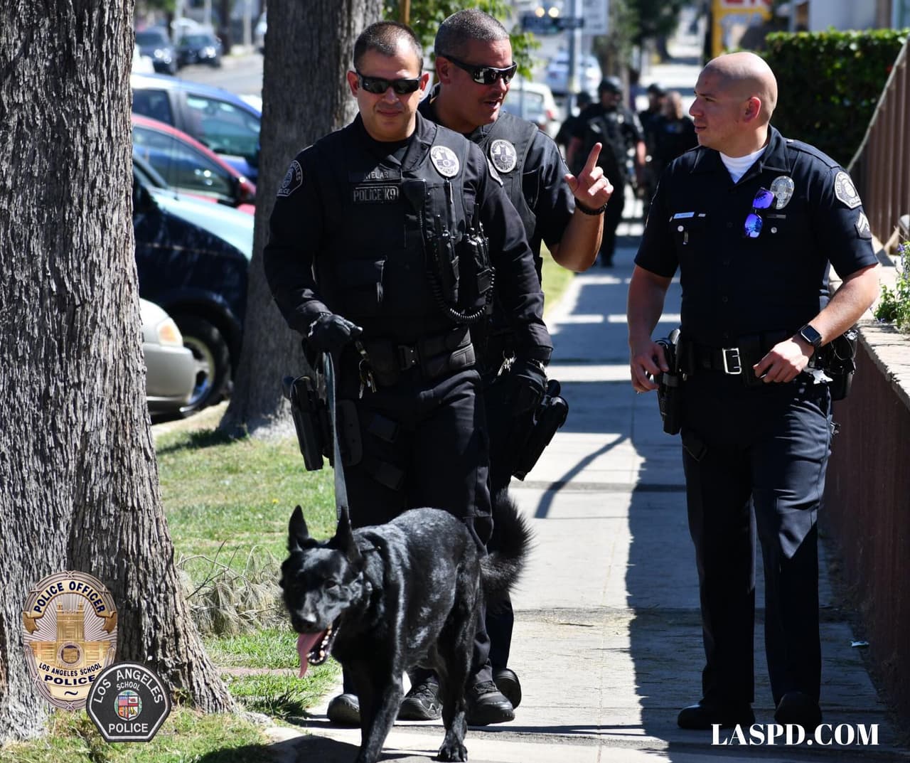 Tras negociaciones el sospechoso se entregó en la estación de policía donde fue arrestado por posesión de un arma robada. No se presentaron personas lesionadas durante el incidente, informó el LASPD