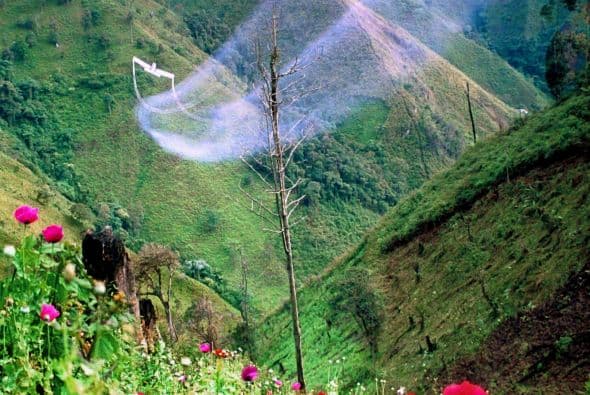 Además se le atribuye a México la mayor parte de la producción de las metanfetaminas y opiáceos consumidos en EU y se tiene reportes de un incremento en los cultivos de amapola.