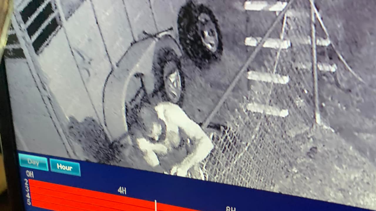 Katharine McClain y su familia, residentes de Livingston, un pueblo ubicado al noreste de Houston, se llevaron tremenda sorpresa el sábado 24 de septiembre cuando su perro los alertó sobre algo en el cobertizo en el patio de su vivienda.