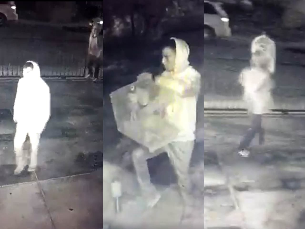 Unos ladrones roban las mascotas a tres niños en Huntington Park