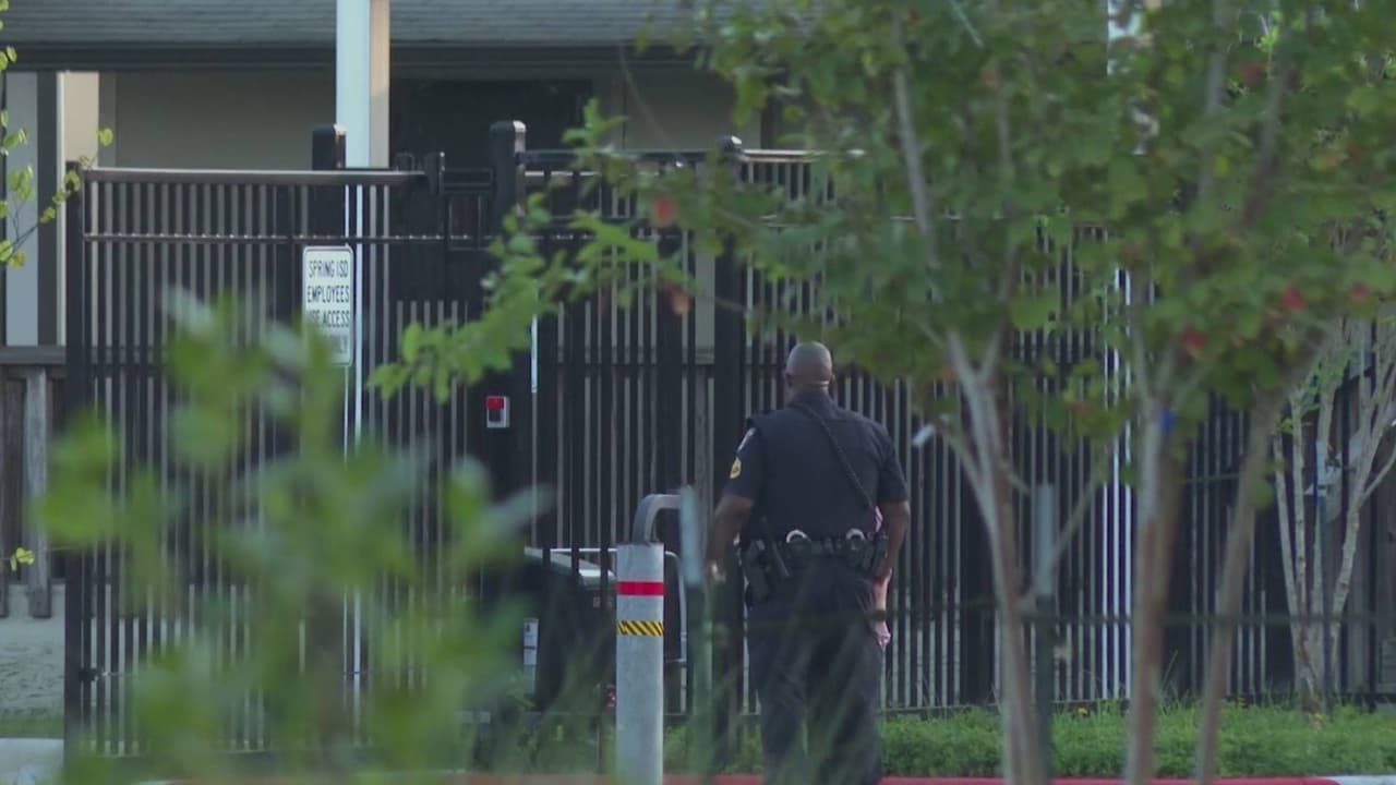 Operativo de ICE en Galveston termina en accidente: inmigrante se estrelló contra un árbol