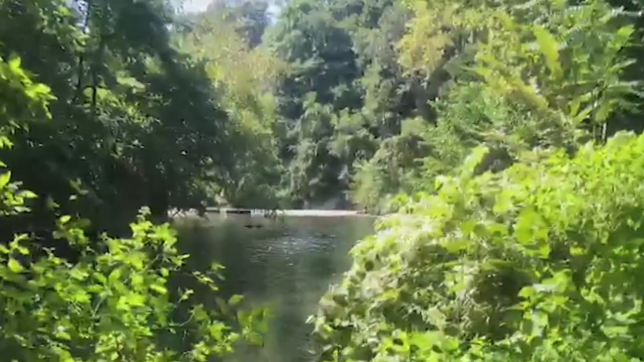 Si planificas disfrutar de la gran oferta de 
<a href="https://www.univision.com/local/philadelphia-wuvp/rutas-a-desafiar-bicilceta-pensilvania-fotos">tesoros naturales que ofrece Pensilvania</a>, hazlo y ten presente las precauciones para prevenir una lesión por plantas venenosas como la hiedra y toma en consideración los consejos para que tu caminata o visita a un parque no se convierta en una tragedia. 
<br>
<br>