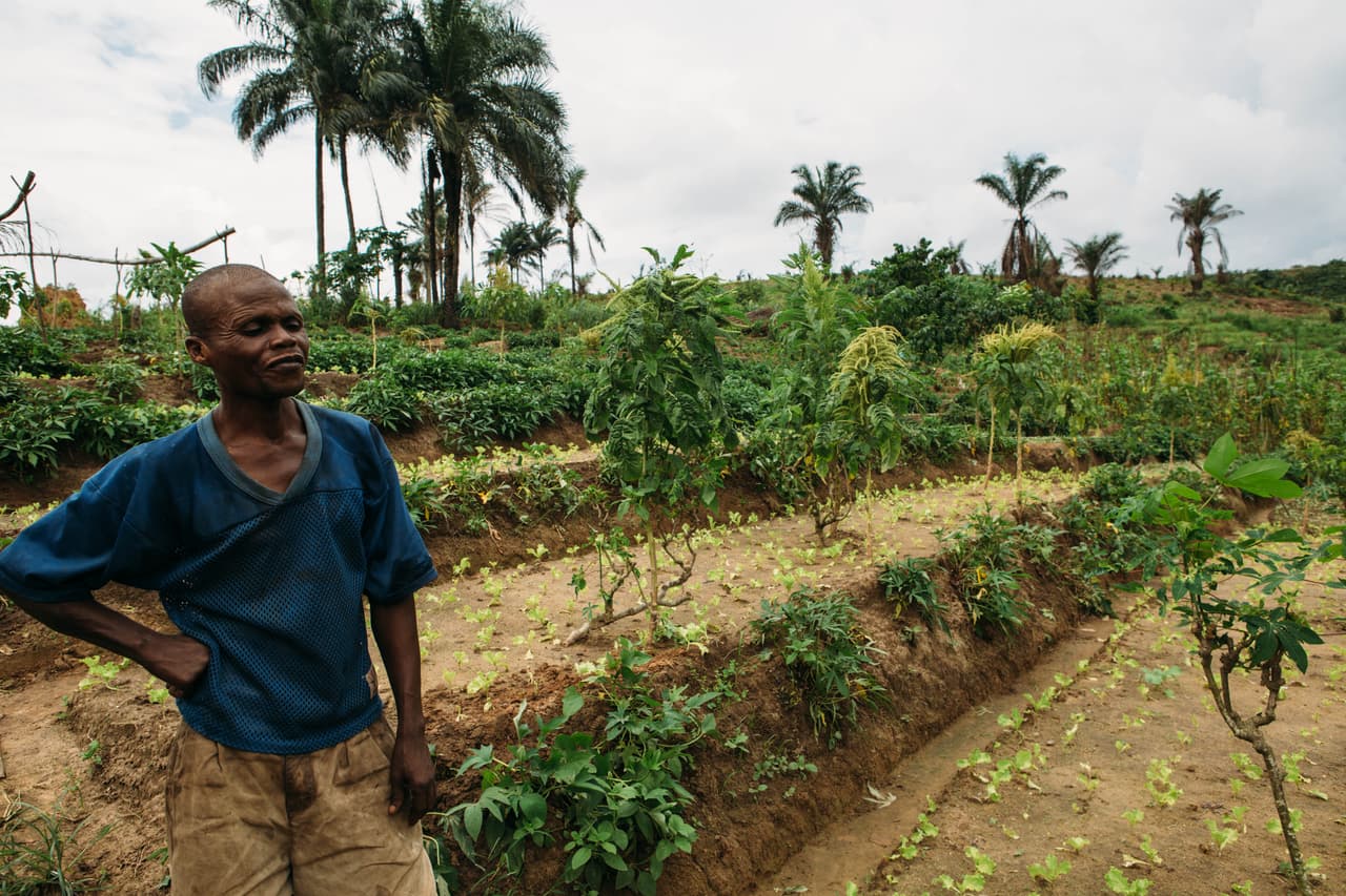 La agricultura dentro de la ciudad y el comercio local y justo es muy importante para el santuario Lola Ya Bonobo. Por ello, toda la alimentación de sus bonobos y el personal proviene de agricultores en las comunidades aledañas.