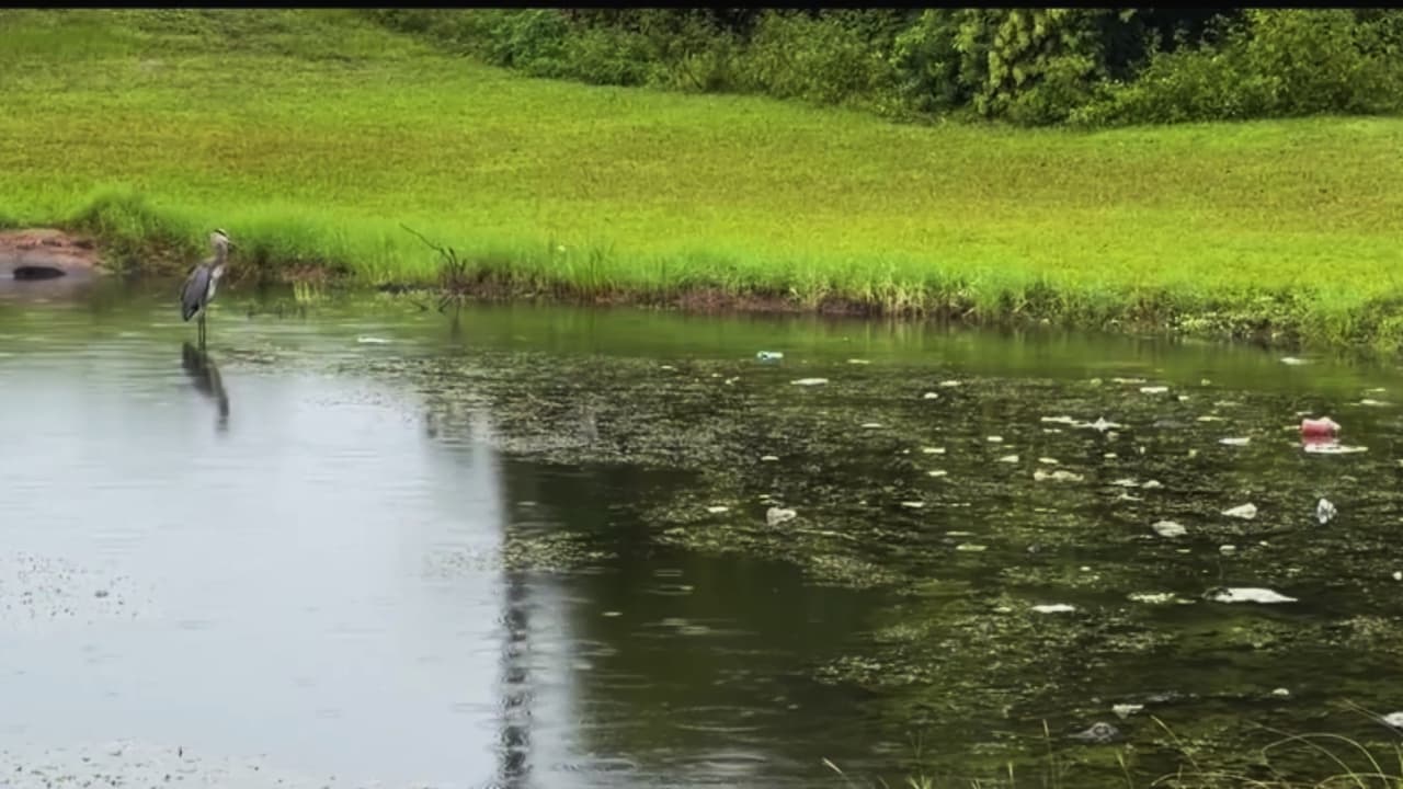 Alerta en Daytona Beach por intensas lluvias: autoridades toman medidas para evitar inundaciones en zonas vulnerables