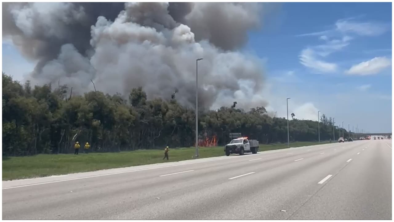 Situación de los incendios de maleza en Miami-Dade: algunas vías permanecen cerradas