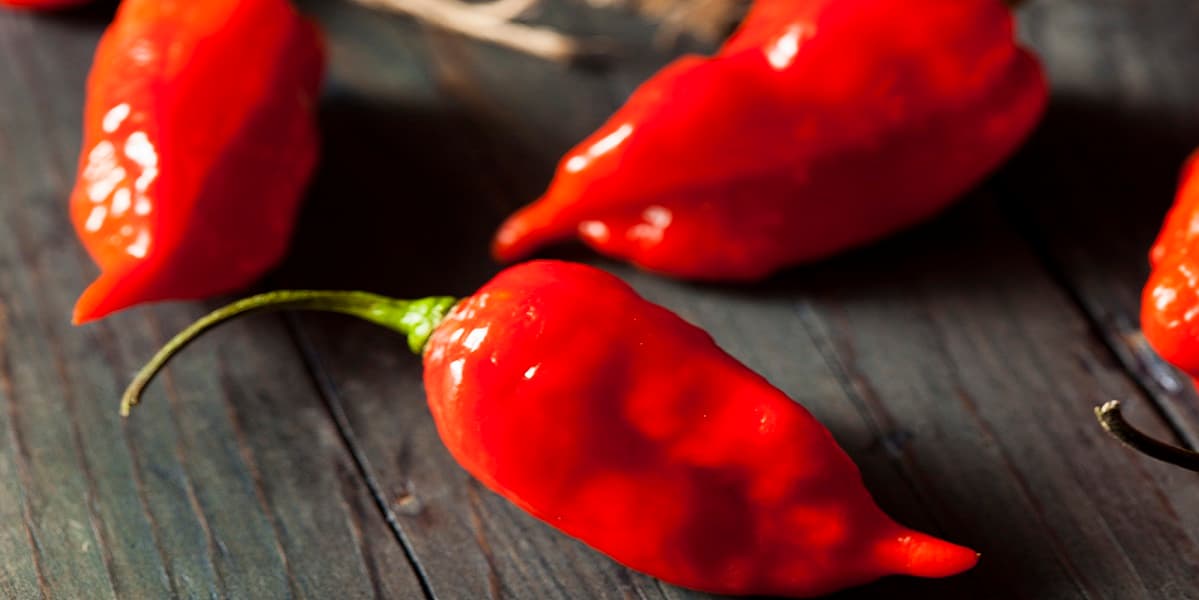 Un chile muy picoso causa una perforación de esófago a un hombre en California