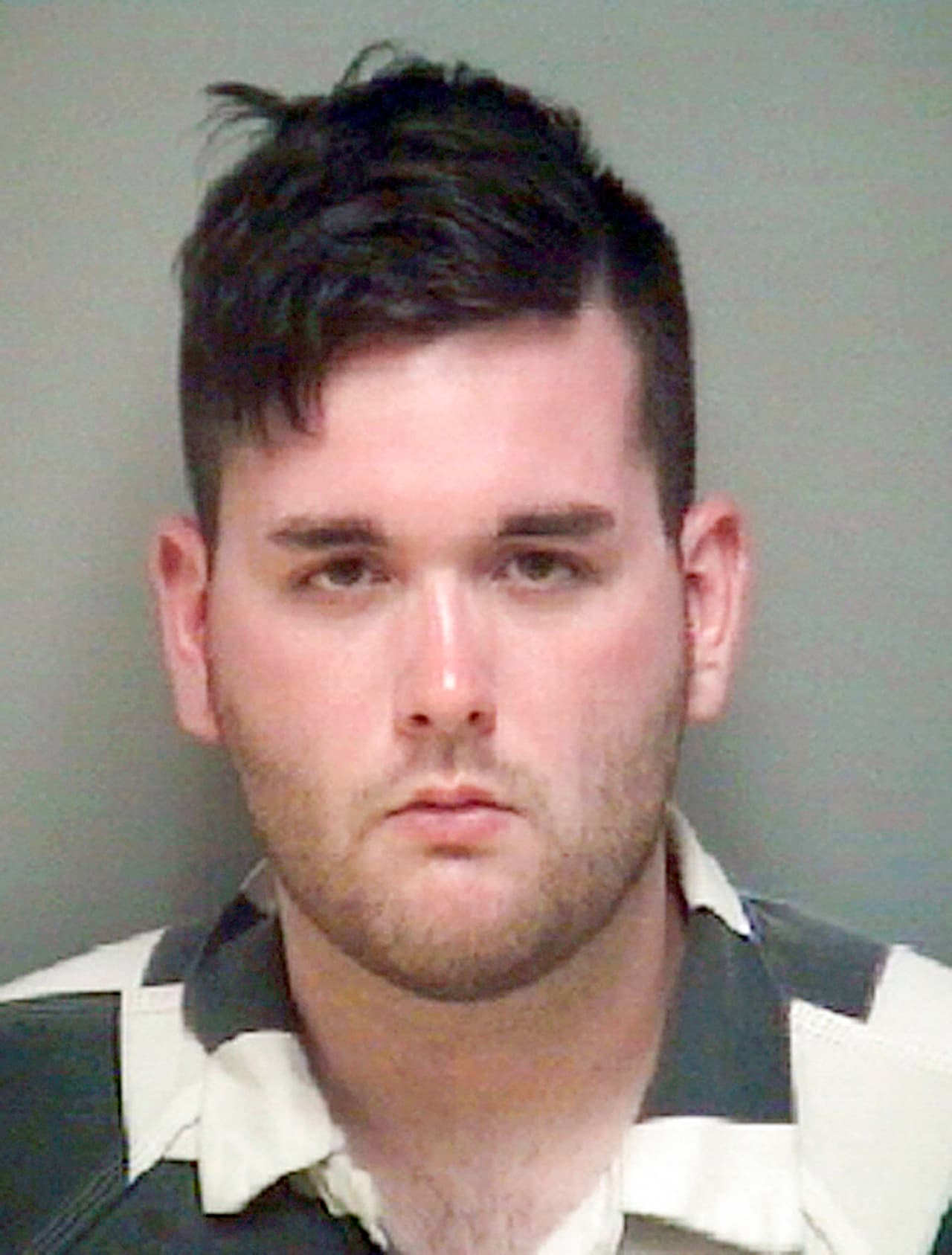 Fields se mostró estoico durante casi toda la audiencia. No habló, excepto para decir “sí, señor” cuando el juez federal Michael Urbanski le preguntó si se declaraba culpable a sabiendas y voluntariamente. Urbanski programó la audiencia de sentencia para el 3 de julio. Fields enfrenta cadena perpetua.
<br>