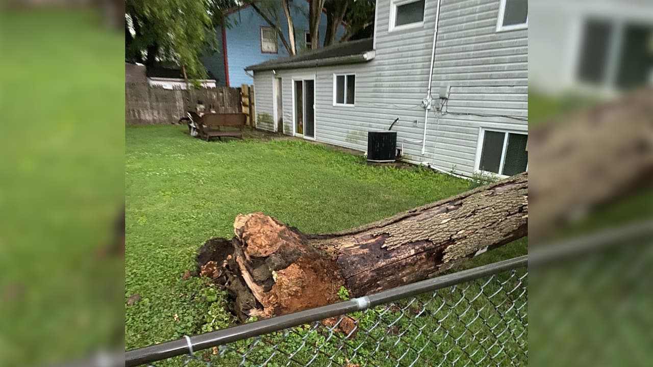 Bolingbrook fue otra de las localidades que registraron afectaciones a causa del tiempo severo. Ramas y algunos árboles cayeron sobre viviendas.