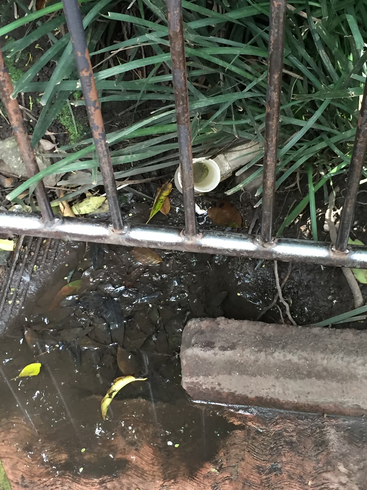 Una tubería y debajo una acumulación de agua.