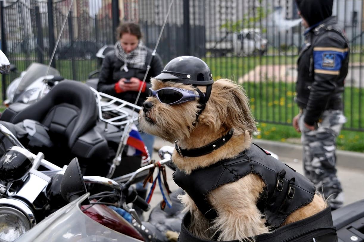 Cuando iban de camino a casa, Robert lo montó en una vieja moto soviética.