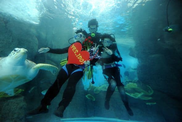 Si hubo amor en el aire, ¿por qué no en el agua?