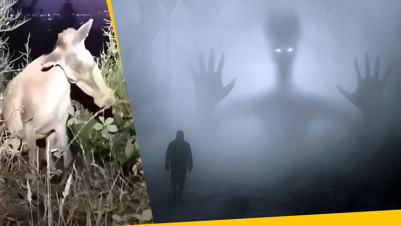 ¿Los Montes Apalaches están embrujados? Aterradores videos de TikTok muestran fenómenos paranormales