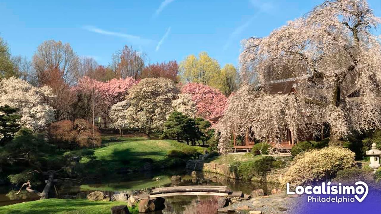 Estos son los festivales de primavera que no querrás perderte en Pensilvania en 2023