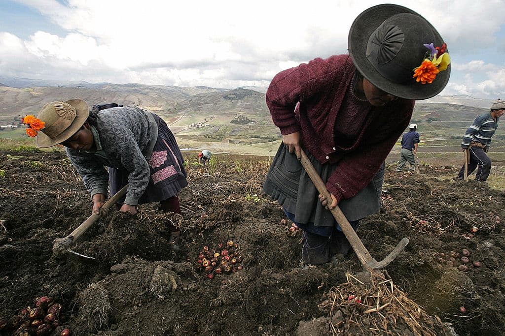 <a href="https://www.univision.com/temas/america-latina">América Latina</a> es la región con más desigualdad. Entre 2017 y 2019 el 10% de la población más acaudalada pasó de acumular 
<b>53.8% de la riqueza que se generó en la región a 54.6%</b>; un contraste muy marcado en comparación con el 50% inferior de la población, el más pobre, el cual obtuvo solo el 10%. 
<b>Perú, en la imagen, es uno de los países en los que la brecha de ingresos es más marcada</b>, con un 42.8%; el 10% de los más ricos ingresan 53% de la riqueza nacional y el 50% más pobre solo el 10.2%.