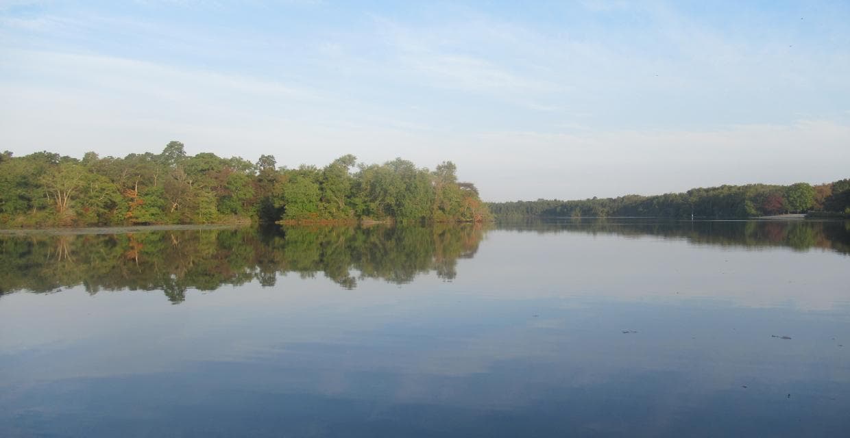 Abierto desde el Día de los Caídos hasta el Día del Trabajo, el área de natación que admite mascotas también ofrece alquiler de canoas, un puesto de comida y áreas de juegos para niños en ambos lados de la playa.
<br>
<br>📍 701 Almond Rd., Pittsgrove Township, Nueva Jersey
<br>💲 $ 2 por persona