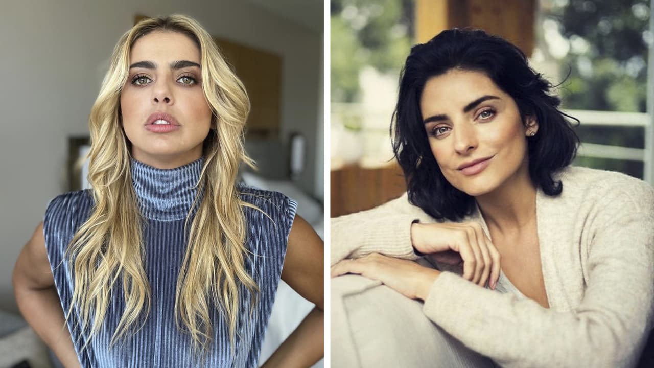 "Aguanté violencias": Michelle Renaud y Aislinn Derbez se sinceraron sobre sus divorcios