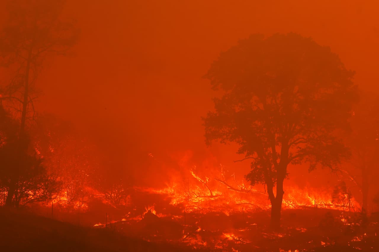 Si bien los incendios en el sur del estado han sido devastadores, en el norte y centro de la región en Napa Valley, esta es la destructiva e incontrolable situación.
<br>
<br>El incendio del complejo LNU Lightning en Napa, cerca del lago Berryessa, cerca de la ciudad de Napa. El fuego está contenido en un cero por ciento.