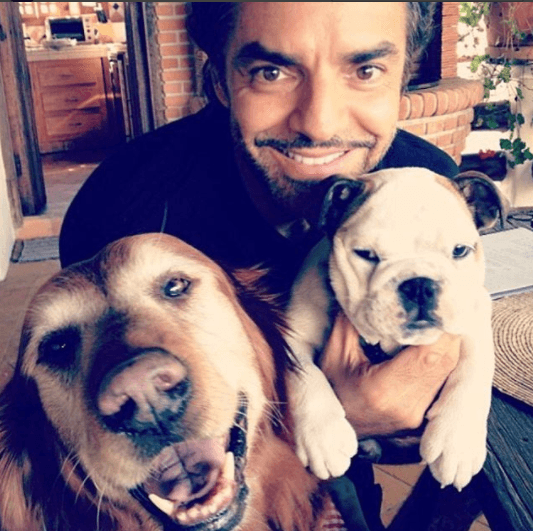 Desde cachorra Fiona llenó de alegría la vida de Eugenio Derbez.