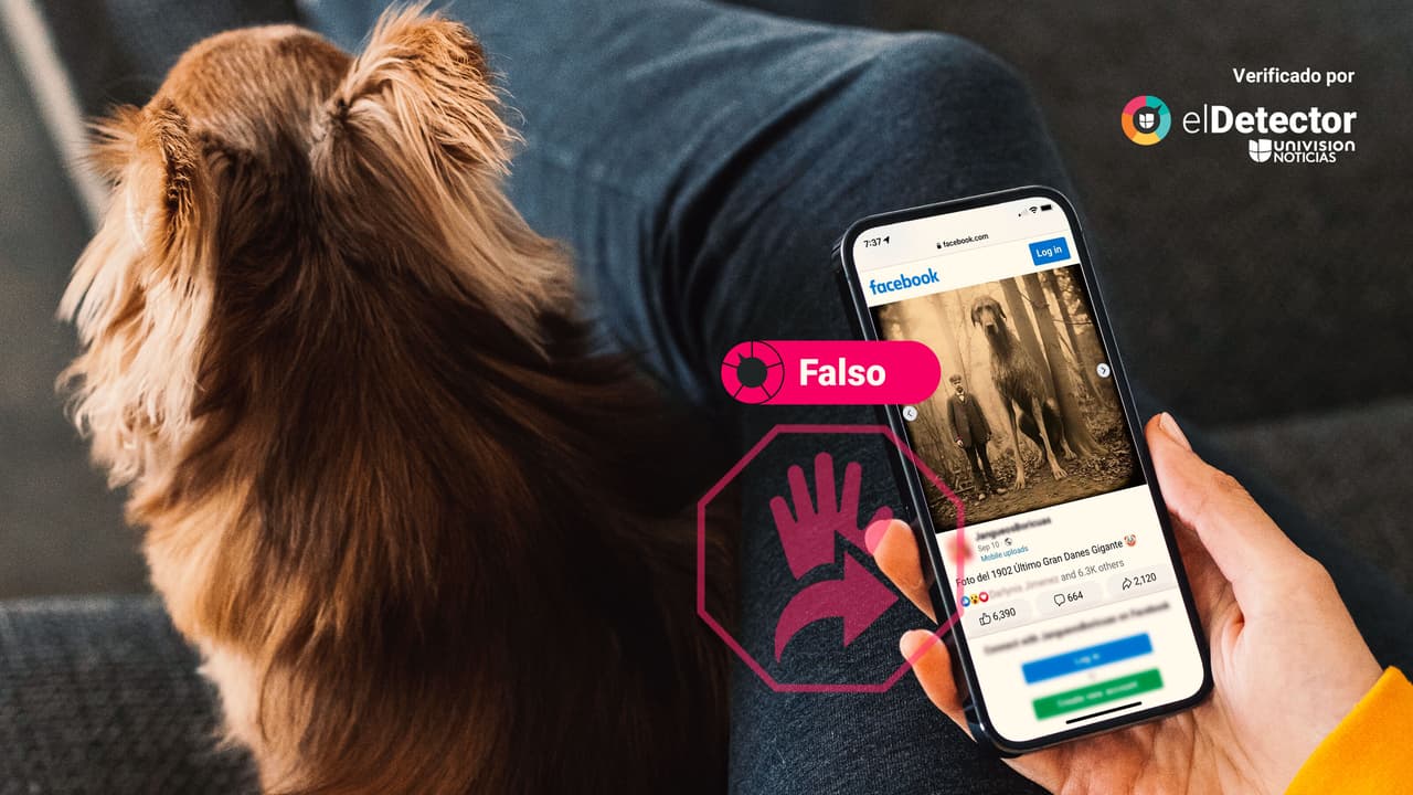 Esa no es una foto de 1902 del último gran danés gigante: fue generada con inteligencia artificial