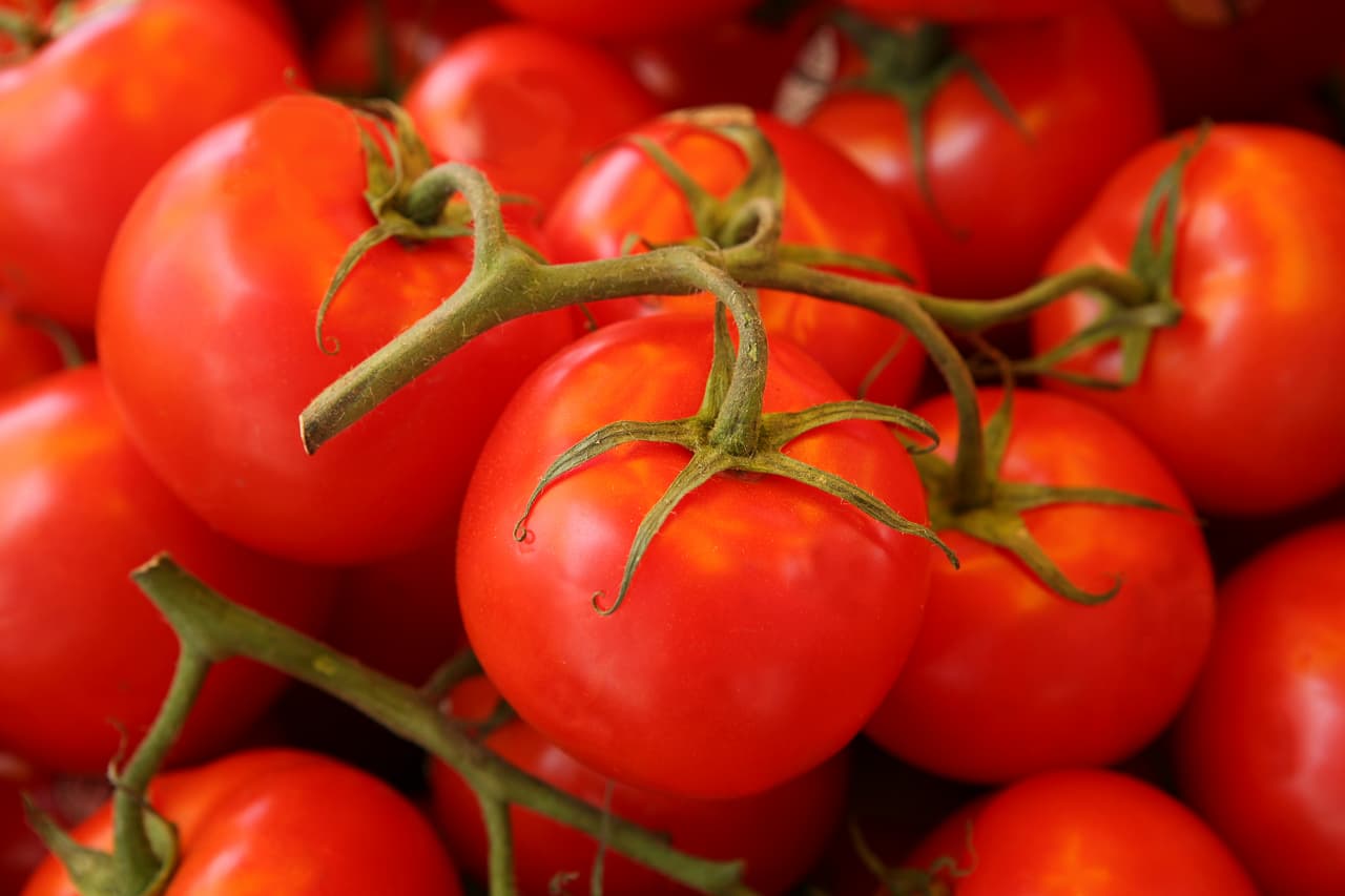 <b>Tomate.</b> Una rodaja de tomate, al contener gran cantidad de agua, también puede ser una buena solución para los labios deshidratados.
