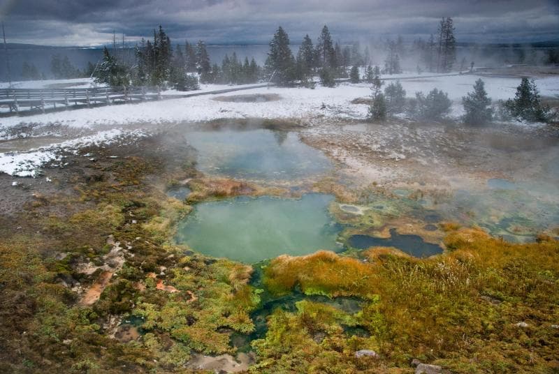 El Parque Nacional Yellowstone se estableció en 1872 y es el primer parque nacional de Estados Unidos. Ubicado en Wyoming, Montana e Idaho, alberga una gran variedad de animales salvajes como osos pardos, lobos, bisontes y alces. Dentro del Parque Nacional Yellowstone también se preserva el Gran Cañón de Yellowstone, el Old Faithful (Viejo fiel) y la colección de geiseres y fuentes termales más impresionante del mundo.