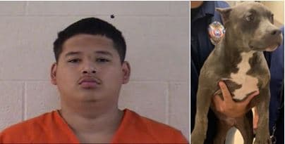 Arrestan a un sospechoso por robo agravado ocurrido durante la compra de un perro