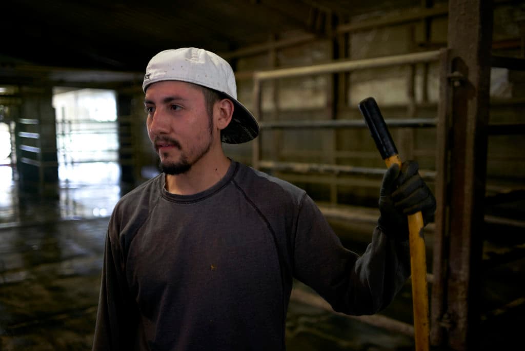 Manuel Estrada a dairy farmer a migrant worker from Mexico tends to his work on a family owned farmTuesday July, 25, 2017 Newton, Wi. Dairy farms are dependent on migrant workers to help with the many aspects of running a farm. They along with many other farms are now running into issues getting help due to the current administrations stance on immigration making many workers return to home countries in fear of being arrested in the United States while looking for work.CREDIT: Darren Hauck for Center for Investigative Reporting