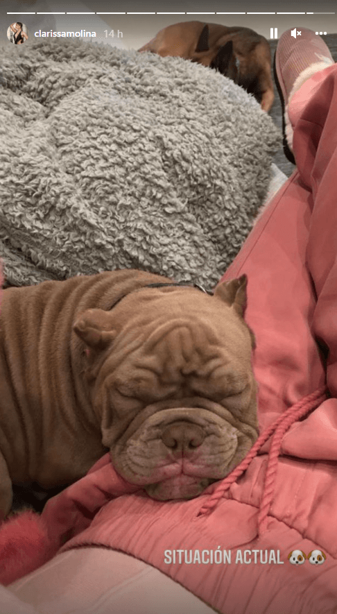 La dominicana aprovecha al máximo cada momento con Azuul y así lo deja saber a sus seguidores.