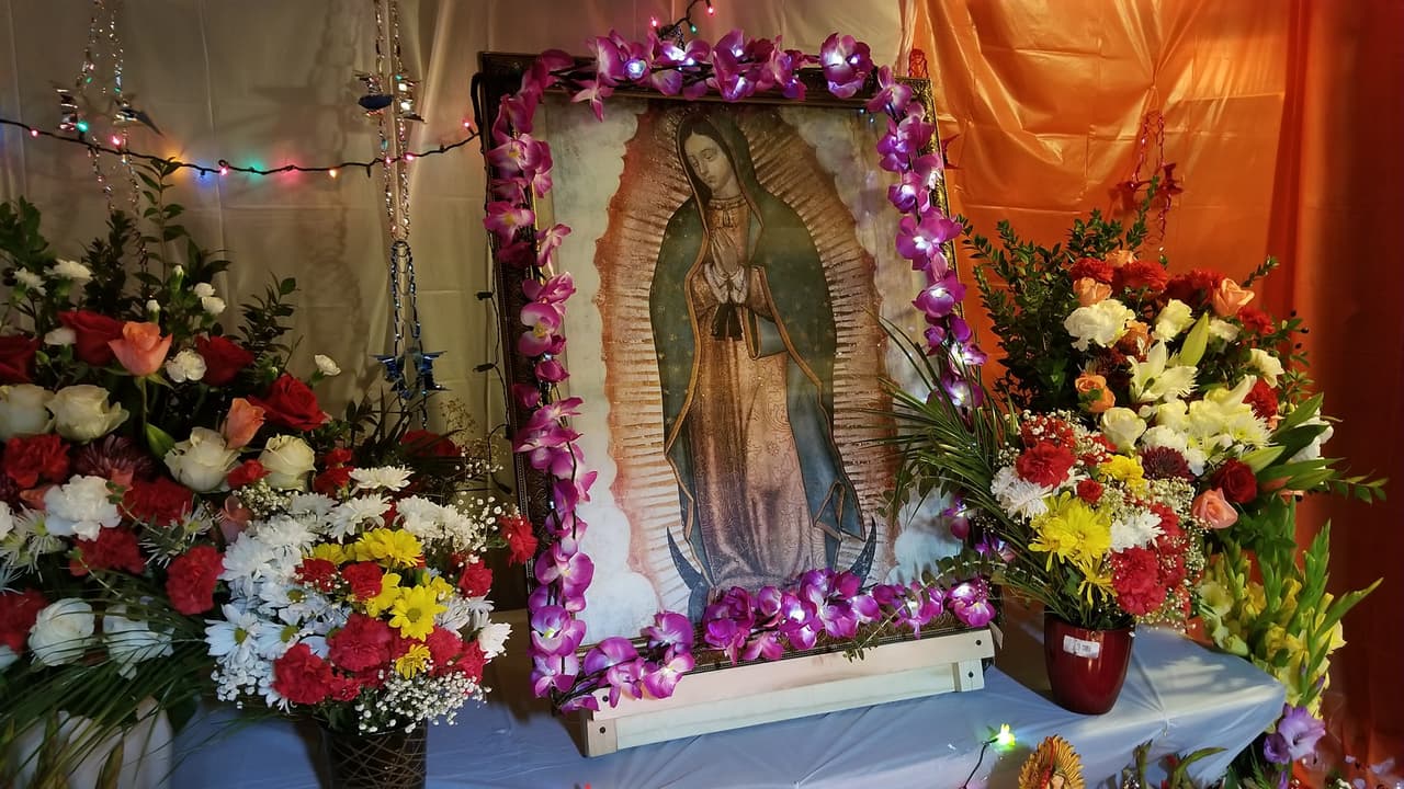 Estos son los horarios y lugares donde el mundo católico celebra a la Virgen de Guadalupe