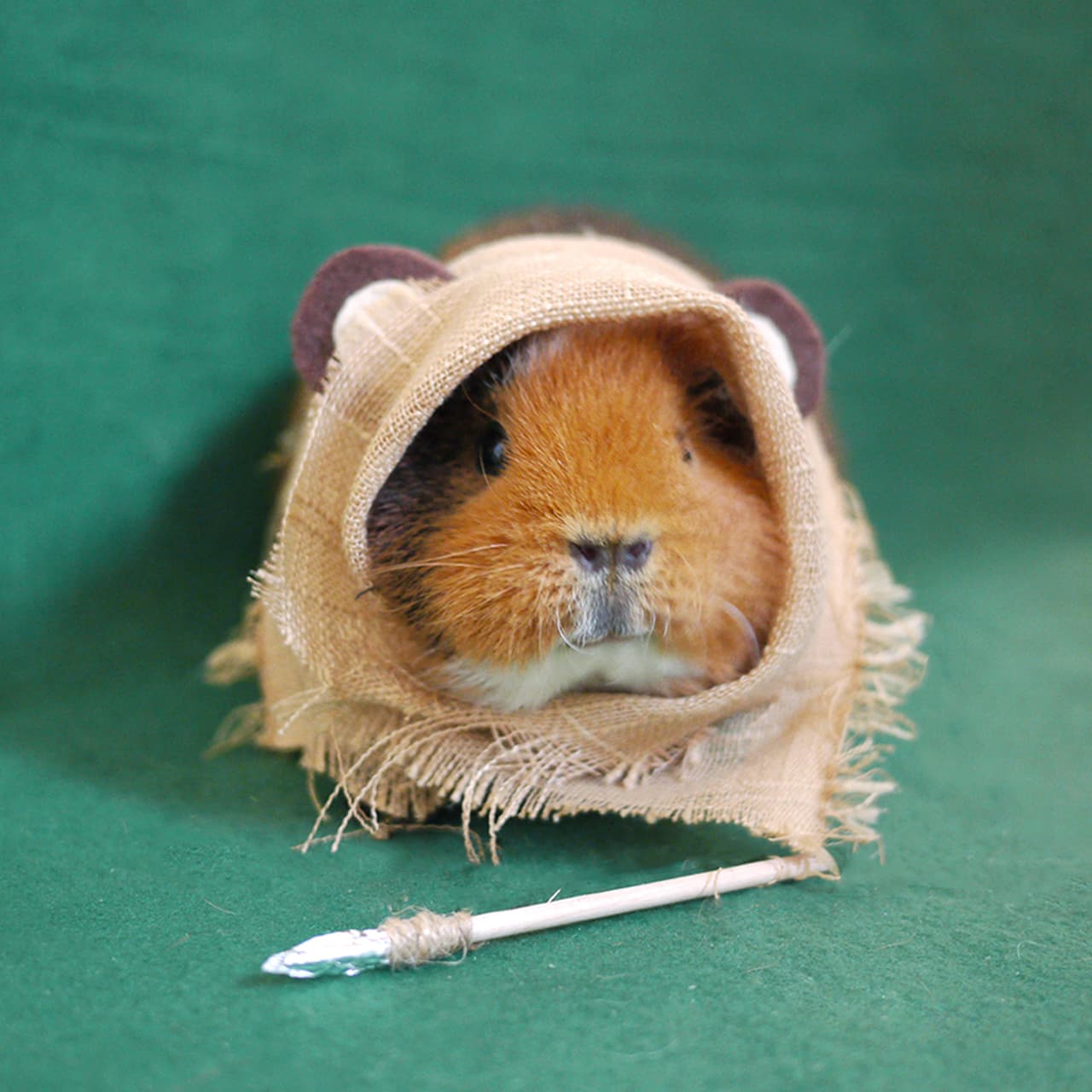 ¡Es el ewok más pequeño de la galaxia!