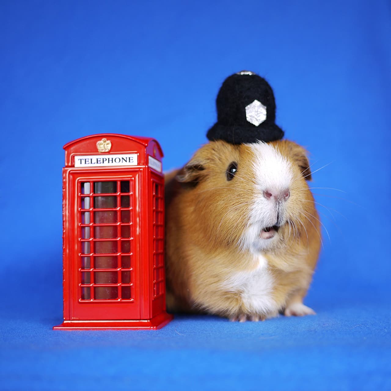 ¡Policía! ¡Tenemos un caso de ternura extrema en Inglaterra!