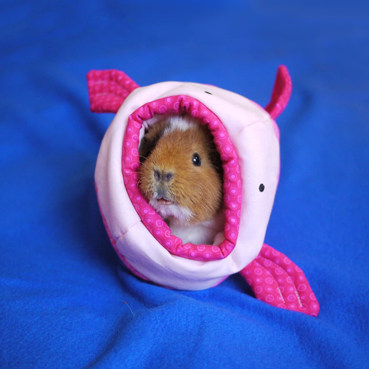 En su guardarropa hay piezas increíbles.