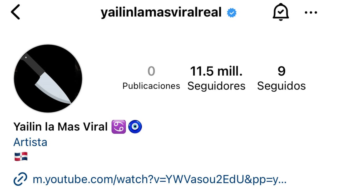 Yailin retomó con esta imagen su actividad en Instagram el pasado sábado 23 de diciembre. Horas después quitó ese avatar y puso uno en donde ella aparece.