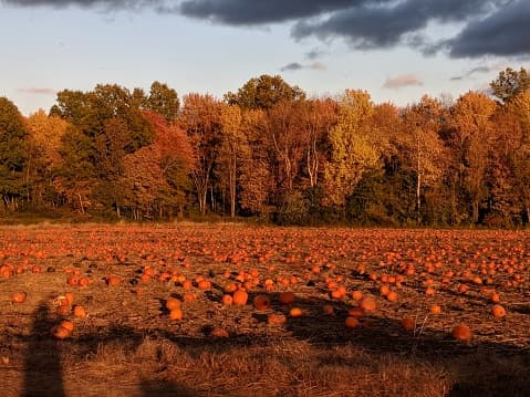 <b>First United Methodist Church </b>| 572 W San Antonio St, New Braunfels, TX 78130, EE. UU.