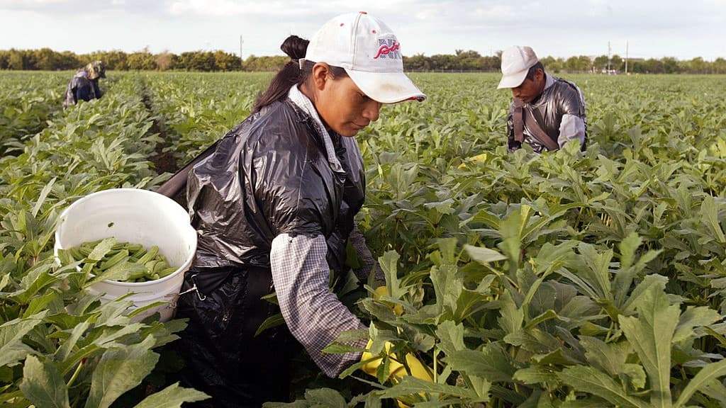 Vuelven a rechazar el plan migratorio que beneficiaría a al menos 7 millones de inmigrantes