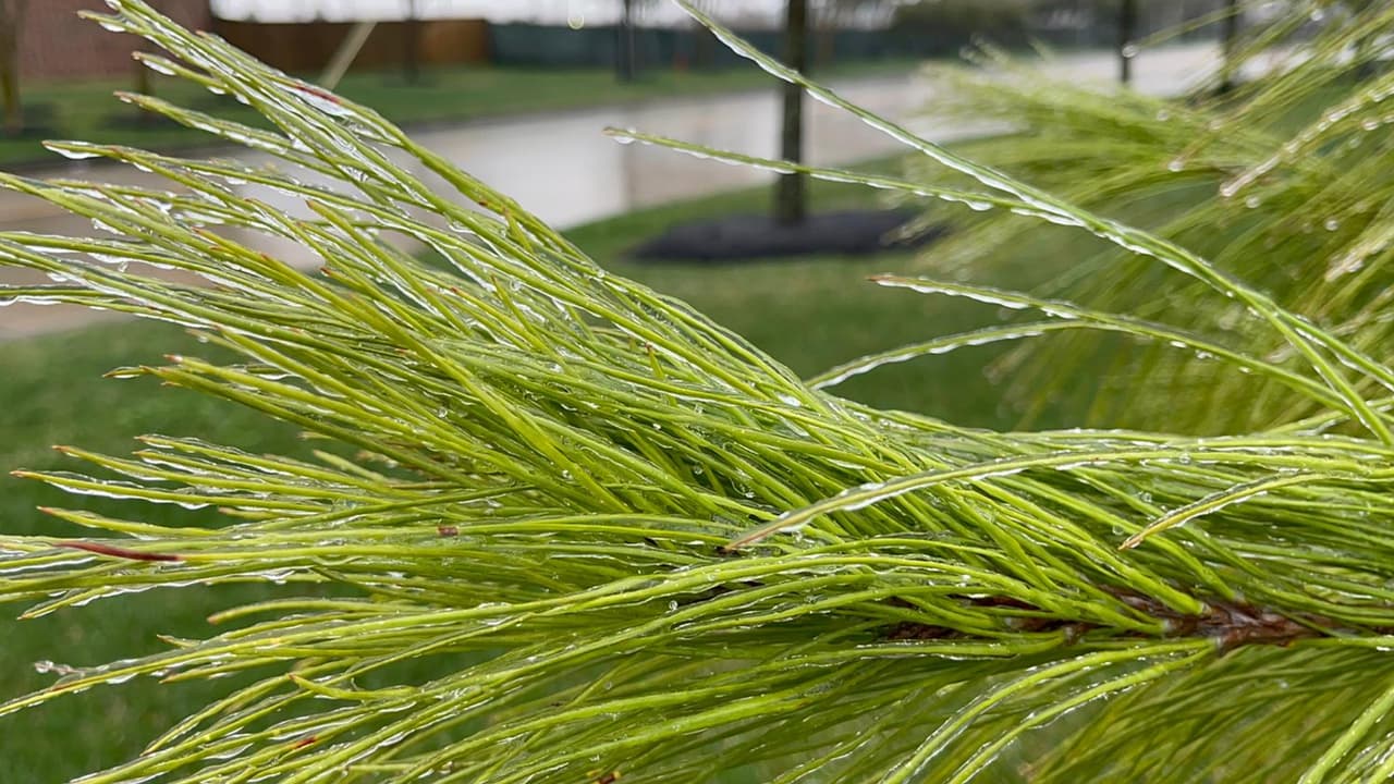 El frío ártico ha llegado a la ciudad de Houston el domingo por la tarde.
