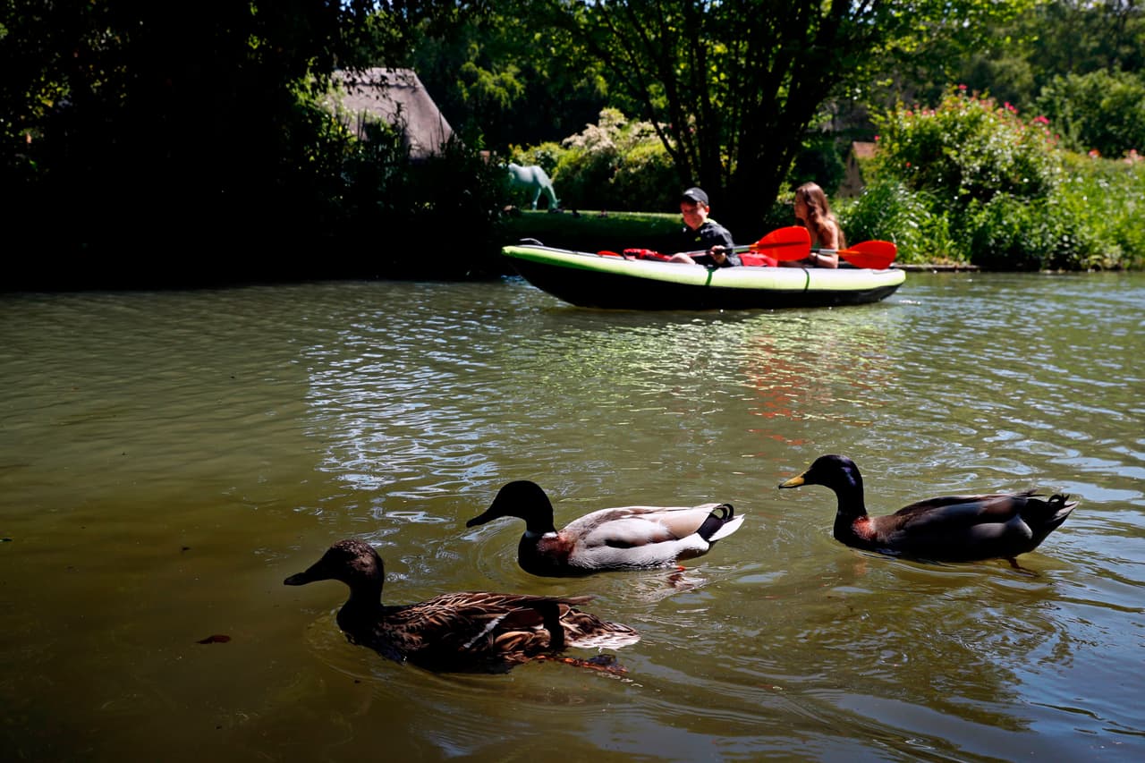 <a href="https://www.floridastateparks.org/parks-and-trails/ruth-b-kirby-gilchrist-blue-springs-state-park">Gilchrist Blue Springs State Park</a>:
<a href="https://www.timeout.com/miami/travel/natural-springs-near-miami" target="_blank">de acuerdo con TimeOut</a>, cada día, 55 millones de galones de agua fresca brotan de este manantial de Florida Central. En la plataforma de buceo de madera, espere una fila de niños en un caluroso día de verano, mientras que en invierno suele estar más poblada por los bagres y las tortugas que se abren paso en una piscina tan clara como el cristal.