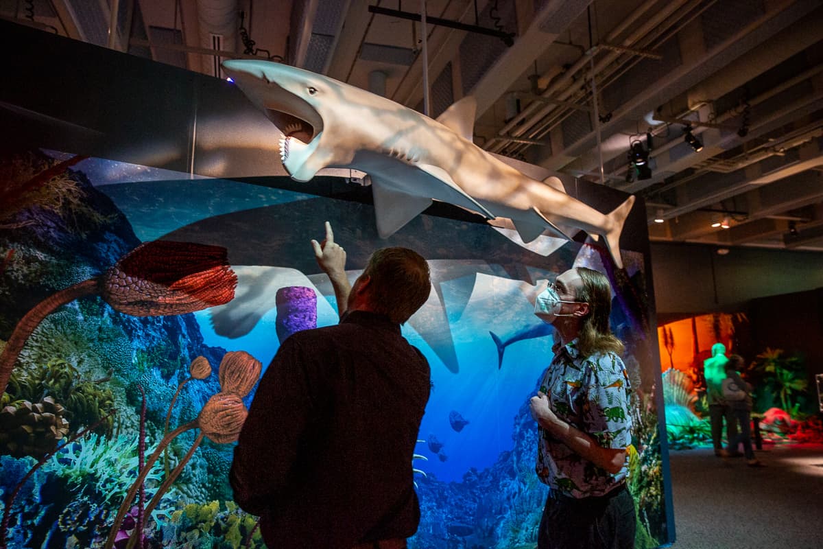 <b><a href="https://naturalsciences.org/exhibits/special-exhibitions/challenging-the-deep">James Cameron: Challenging the Deep (Hasta mayo de 2023)</a></b>. Sumérgete en un mundo submarino. La exposición rastrea la pasión del explorador y cineasta James Cameron por la ciencia, la tecnología y la exploración de las profundidades del océano, incluida su inmersión sin precedentes hasta el fondo del océano en el Deepsea Challenger, el sumergible que codiseñó conjuntamente.