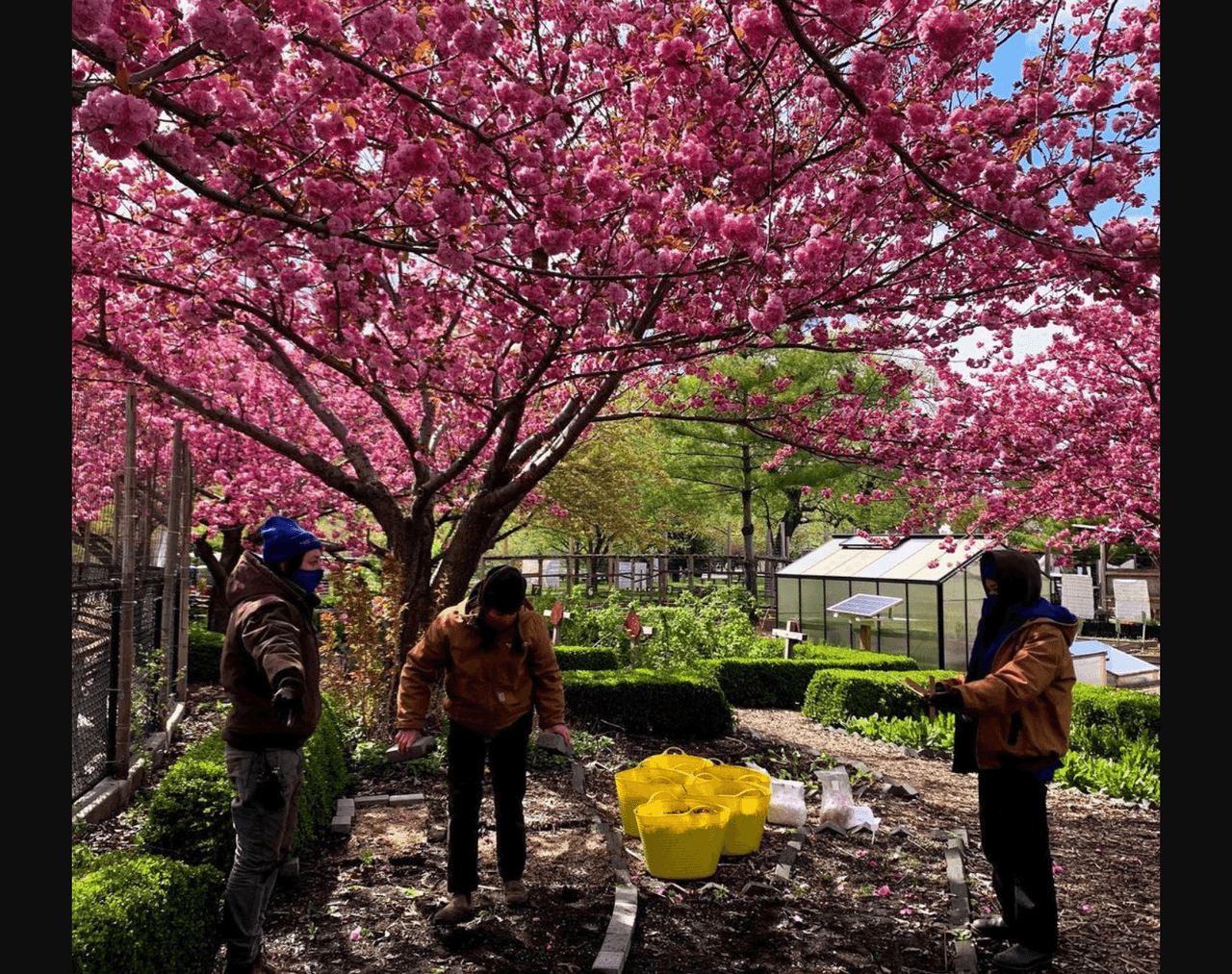 <b>En Randalls Island Park</b>, su llegada impulsa varios divertidos eventos en abril: desde una estación de selfies hasta ferias de manualidades.